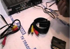 Scart Plug Wiring Diagram Rca to Scart Adaptor Youtube