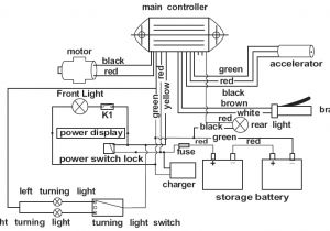 Scoot N Go Electric Scooter Wiring Diagram Freedom Electric Scooter Wiring Diagram Wiring Diagrams Scoot N Go Electric Scooter Wiring Diagram Freedom Electric Scooter Wiring Diagram Wiring Diagrams