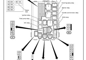 Scosche Line Out Converter Wiring Diagram Wrg 6242 Loc Wiring Diagram