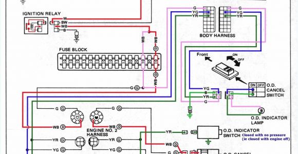 Scout Ii Wiring Diagram Front Light Wiring Harness Diagram19kb Extended Wiring Diagram