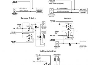 Scytek Alarm Wiring Diagram Scytek Door Actuator Wiring Wiring Diagram