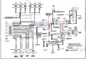 Sentrol 1076d Wiring Diagram Sentrol 1076d Wiring Diagram Lovely 2005 Scion Tc Fuse Box Diagram Sentrol 1076d Wiring Diagram Sentrol 1076d Wiring Diagram Lovely 2005 Scion Tc Fuse Box Diagram