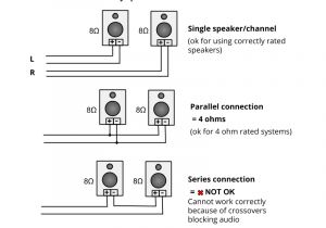 Series Parallel Speaker Wiring Diagram Speaker Wire Diagram Wiring Diagram Technicals