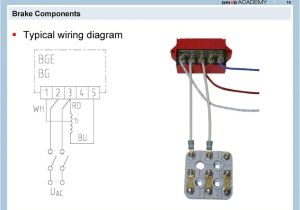 Sew Eurodrive Motor Wiring Diagram Eurodrive Wiring Diagrams Wiring Diagram Mega Sew Eurodrive Motor Wiring Diagram Eurodrive Wiring Diagrams Wiring Diagram Mega