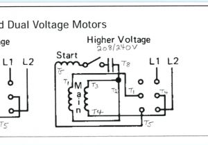 Sew Eurodrive Motor Wiring Diagram Weg Motors Wiring Diagram Wiring Diagram Autovehicle Sew Eurodrive Motor Wiring Diagram Weg Motors Wiring Diagram Wiring Diagram Autovehicle