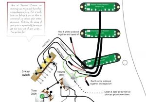 Seymour Duncan Hot Rails Wiring Diagram Duncan Wiring Diagram Malochicolove Com Seymour Duncan Hot Rails Wiring Diagram Duncan Wiring Diagram Malochicolove Com