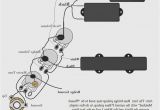 Seymour Duncan P Bass Wiring Diagram Fender Jazz Bass Pickup Wiring Diagram Many Fuse21