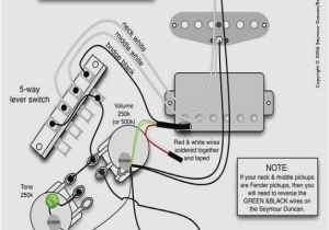 Seymour Duncan Stratocaster Wiring Diagram Wiring Diagram for Stratocaster Wiring Diagram Img Seymour Duncan Stratocaster Wiring Diagram Wiring Diagram for Stratocaster Wiring Diagram Img