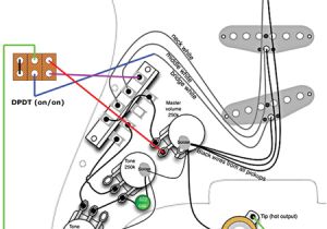 Seymourduncan Com Support Wiring Diagrams Strat Wiring Diagram Wiring Diagram toolbox