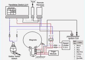 Shoprider Cadiz Wiring Diagram Shoprider Cadiz Wiring Diagram Fresh Eton Scooter Wiring Diagram Shoprider Cadiz Wiring Diagram Shoprider Cadiz Wiring Diagram Fresh Eton Scooter Wiring Diagram