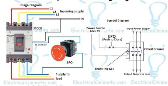 Shunt Trip Breaker Wiring Diagram Schneider Circuit Breaker Shunt Relay Circuit Breaker Trip Coil
