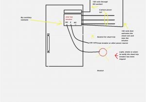 Shunt Trip Circuit Breaker Wiring Diagram Diagram 3 Pole Square D 2510k02 Wiring Diagram Home