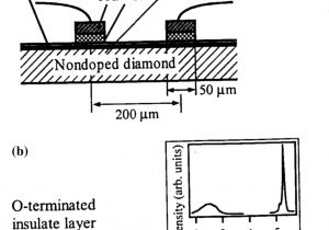 Signal Stat 900 7 Wire Wiring Diagram Application Of isotopic Materials Science In Bulk and Low Signal Stat 900 7 Wire Wiring Diagram Application Of isotopic Materials Science In Bulk and Low