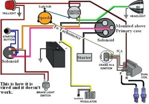 Simple Shovelhead Wiring Diagram Harley Davidson Starter Wiring Wiring Diagram Value