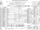 Simple Wiring Diagram Speaker Wiring Diagrams Awesome Color Wiring Diagram Car Stereo