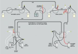 Single Light Wiring Diagram Wiring A Fluorescent Light Switch Wiring Diagram View