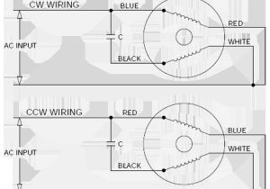 Single Phase 220v Motor Wiring Diagram 240v Induction Motor Wiring Wiring Diagram Basic
