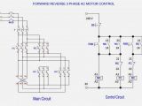 Single Phase 220v Motor Wiring Diagram 3 Phase Motor Starter Wiring Wiring Diagram Database