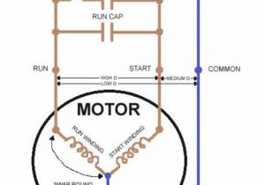 Single Phase Capacitor Start Capacitor Run Motor Wiring Diagram 59 Best Motor Images Electrical Engineering Electricity