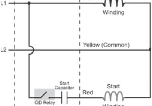 Single Phase Capacitor Start Capacitor Run Motor Wiring Diagram Csir Vs Cscr What S the Difference Franklin Aid
