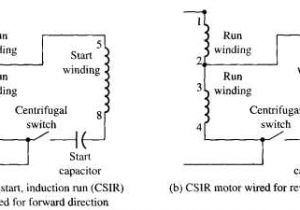 Single Phase Capacitor Start-capacitor-run Motor Wiring Diagram Csir Wiring Diagram Wiring Diagram Page Single Phase Capacitor Start-capacitor-run Motor Wiring Diagram Csir Wiring Diagram Wiring Diagram Page