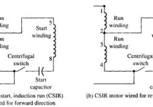 Single Phase Capacitor Start-capacitor-run Motor Wiring Diagram Csir Wiring Diagram Wiring Diagram Page