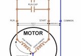 Single Phase Capacitor Start Run Motor Wiring Diagram Single Phase Capacitor Start Capacitor Run Motor Wiring