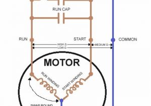 Single Phase Capacitor Start Run Motor Wiring Diagram Single Phase Capacitor Start Capacitor Run Motor Wiring
