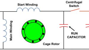 Single Phase Capacitor Start Run Motor Wiring Diagram Types Of Single Phase Induction Motors Single Phase