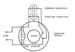 Single Phase Double Capacitor Induction Motor Wiring Diagram Need Wiring Help On Old Dryer Motor Ridgid forum Plumbing