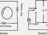 Single Phase Double Capacitor Induction Motor Wiring Diagram Wiring Diagram Induction Motor Single Phase Free Download Wiring