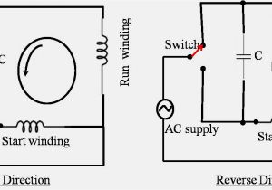 Single Phase Double Capacitor Induction Motor Wiring Diagram Wiring Diagram Induction Motor Single Phase Free Download Wiring Single Phase Double Capacitor Induction Motor Wiring Diagram Wiring Diagram Induction Motor Single Phase Free Download Wiring