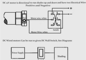 Single Phase Marathon Motor Wiring Diagram Dual Voltage Single Phase Motor Wiring Diagram Wiring Diagrams