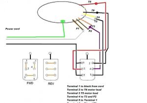 Single Phase Motor forward Reverse Wiring Diagram Pdf Combination Starter Wiring Diagram Wiring Diagram Single Phase Motor forward Reverse Wiring Diagram Pdf Combination Starter Wiring Diagram Wiring Diagram