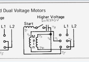 Single Phase Motor forward Reverse Wiring Diagram Single Phase forward Reverse Motor Wiring Diagram Luxury Wiring