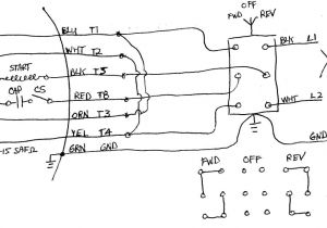 Single Phase Motor Wiring Diagram forward Reverse Bremas Drum Switch Wiring Diagram Wiring Diagram Schema