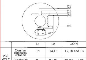 Single Phase Motor Wiring Diagram Pdf 110v Motor Wiring Wiring Diagram Sheet Single Phase Motor Wiring Diagram Pdf 110v Motor Wiring Wiring Diagram Sheet