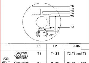 Single Phase Motor Wiring Diagram Pdf 110v Motor Wiring Wiring Diagram Sheet