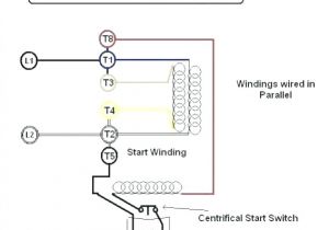 Single Phase Motor Wiring Diagram with Capacitor Ac Motor Wiring Blog Wiring Diagram