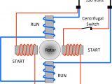 Single Phase Motor Wiring Diagram with Capacitor Start 240v Induction Motor Wiring Wiring Diagram Basic