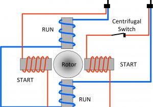 Single Phase Motor Wiring Diagram with Capacitor Start 240v Induction Motor Wiring Wiring Diagram Basic