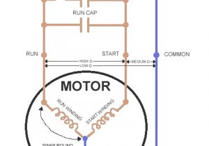 Single Phase Motor Wiring Diagram with Capacitor Start Capacitor Run Csir Wiring Diagram Wiring Diagram Centre