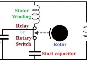 Single Phase Motor Wiring Diagram with Capacitor Start Capacitor Run Primary Single Phase Capacitor Wiring Diagram Wiring Diagram Single Phase Motor Wiring Diagram with Capacitor Start Capacitor Run Primary Single Phase Capacitor Wiring Diagram Wiring Diagram