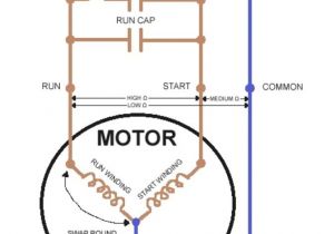 Single Phase Motor Wiring Diagram with Capacitor Start Wireing 208 Motor Starter Diagram Wiring Diagram Mega