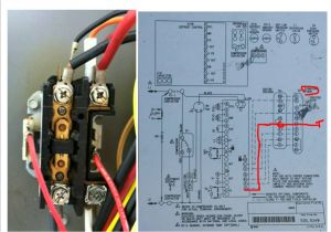 Single Pole Contactor Wiring Diagram Hvac Contactor Wiring Schematic Wiring Diagram Paper