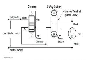 Single Pole Double Throw Wiring Diagram Hubbell Single Pole Switch Wiring Diagram Wiring Diagram Center