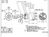 Small Engine Ignition Switch Wiring Diagram 4 Wire Switch Wiring Diagram Wiring Diagram Go
