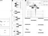 Sony Cdx F7700 Wiring Diagram sony Cdx F7700 Wiring Diagram Elegant sony Xplod Car Stereo Wiring Sony Cdx F7700 Wiring Diagram sony Cdx F7700 Wiring Diagram Elegant sony Xplod Car Stereo Wiring