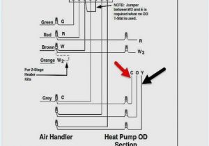 Sony Cdx Fw570 Wiring Diagram sony Cdx Gt130 Wire Diagram Wiring Diagram Split