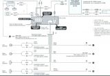 Sony Cdx Wiring Diagram Xplod Wiring Diagram Wiring Diagram
